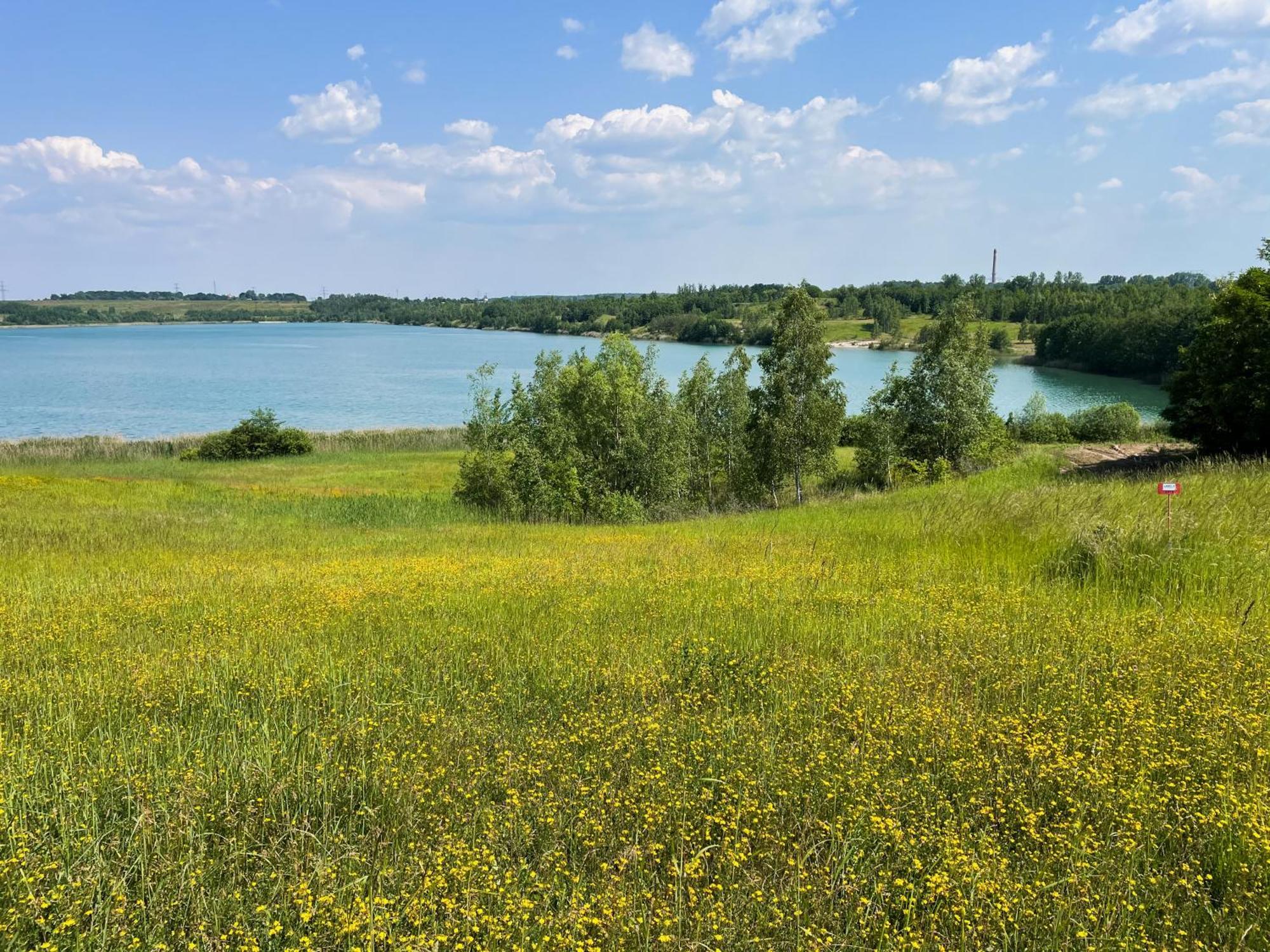 Haus Im Schilf 2 - Ferienwohnungen Am Hainer See Bei Leipzig Neukieritzsch Экстерьер фото